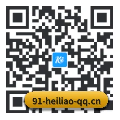 安卓抗崩溃专版 二维码